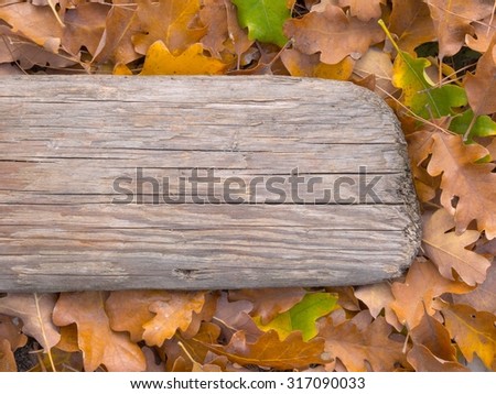 Autumn foliage and the old Board