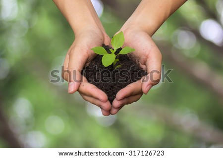 close up on human hands gesture holding a little growing plant over blurred green backgrounds for save the world concept.
