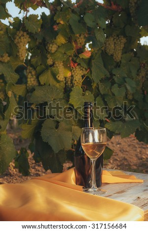 One glass and bottle of the white wine in autumn vineyard. on wooden table Harvest time, sundown on vineyard in autumn