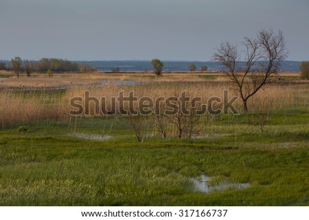 Russia. Rostov region. Delta spring.