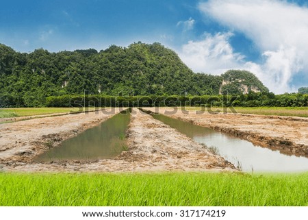 Blue sky with land and green grass in day noon for design