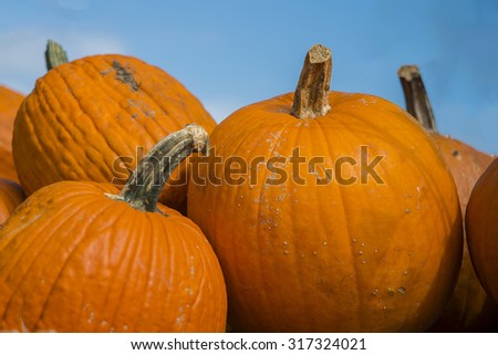 Pumpkins on a table