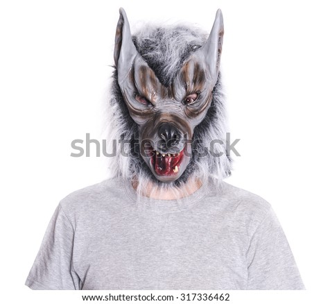 wolf with copy space