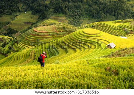 A photographer take a picture of beautiful rice terrace view