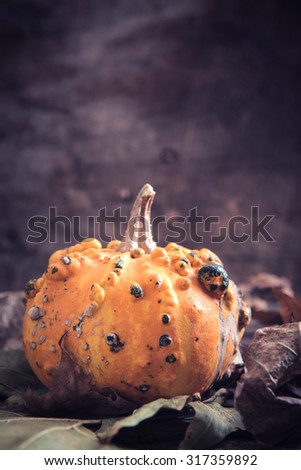 Single scary orange pumpkin on wooden background,halloween concept and blank space