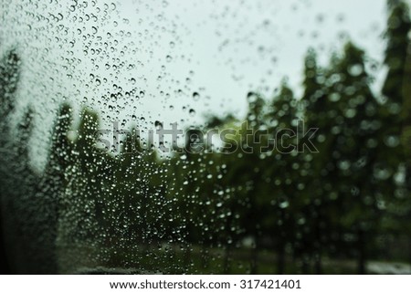 Water Drops with Trees Background, The Weather after Rain