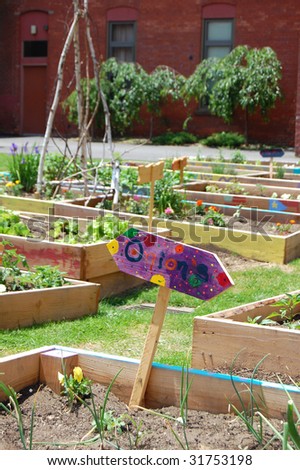 This vacant lot in an inner-city neighborhood has been transformed into a community garden