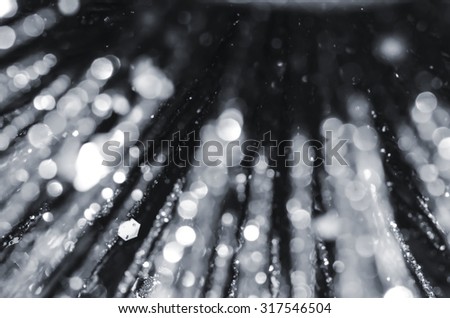 Defocussed 3-D(three dimensional) abstracts with front focussed and blurred backgrounds / Dreamy christmas background / Ideal for promoting dreamy and magical background theme