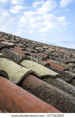Langhe winery region (Piedmont, Northern Italy): detail of a typical old tiled roof, with a blue cloudy sky in the background; Serralunga d'Alba, summer 2015. Color image.
