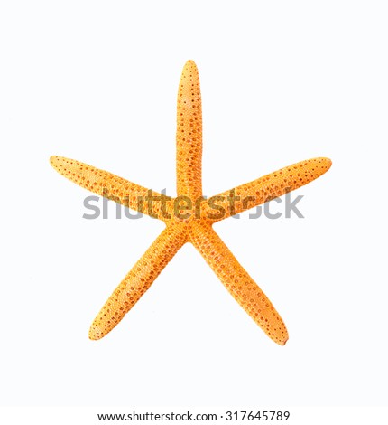 The starfish on a white background