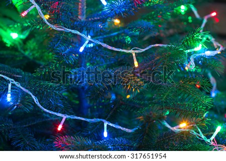 Christmas garland on the branches of a Christmas tree, selective focus