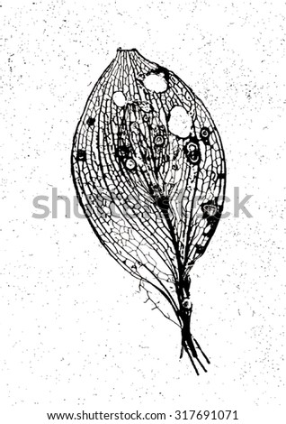Vector illustration of black & white isolated leaf. Graphic, pattern, print, monochromatic, artistic. Rotten, decomposing leaf in autumn woods.