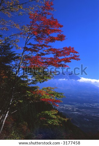 Beautiful Fall colors overlooking Mount Fuji