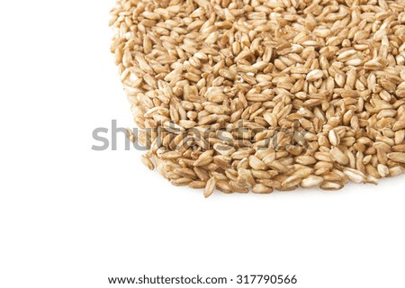 Spoon of Raw Organic Spelt Grain close up on white