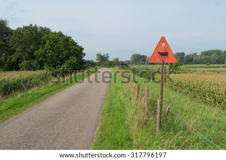 warning sign of cattle crossing a street in the netherlands