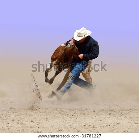 Cowboy wrestling with a steer. Isolated with clipping path.