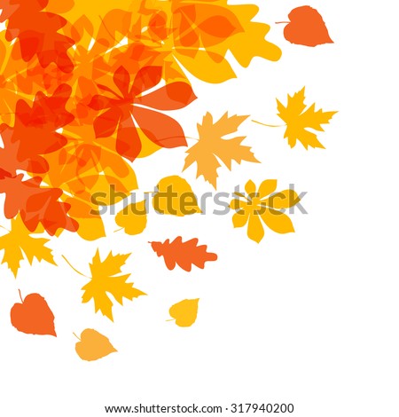 Vector of autumn yellow orange leaves on a white background. Royalty-Free Stock Photo #317940200