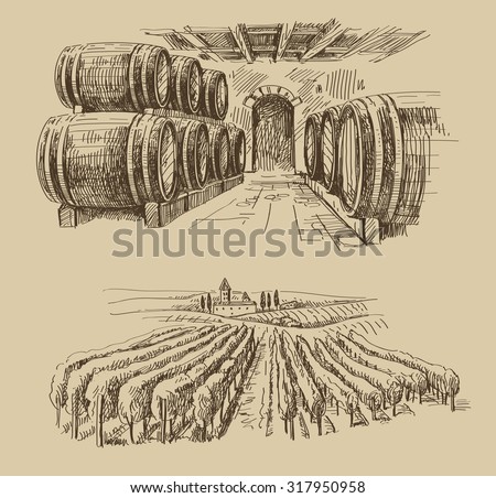 vector hand drawn barrels sketch and vineyard doodle Royalty-Free Stock Photo #317950958