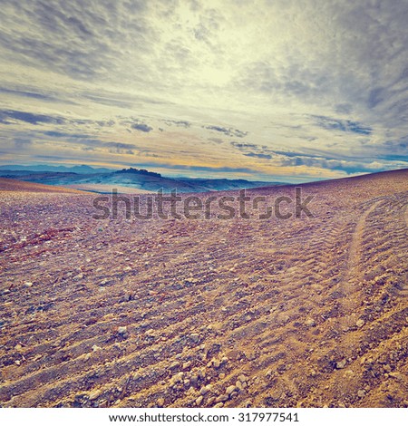 Plowed Sloping Hills of Spain in the Autumn at Sunset, Vintage Style Toned Picture