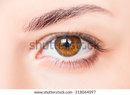 Closeup image of hazel girl eye