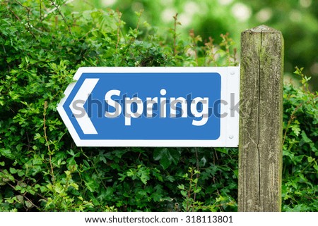 Direction Arrow, Sign To Spring in Blue Color.