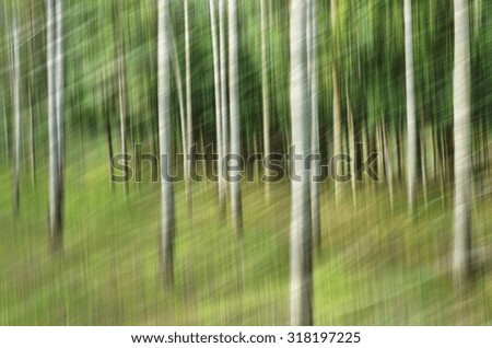 Abstract motion blur, trees trunk & leave, yellow green background