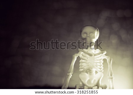 skeleton skull 