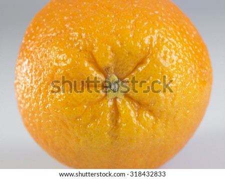 close up of the orange on the white background
