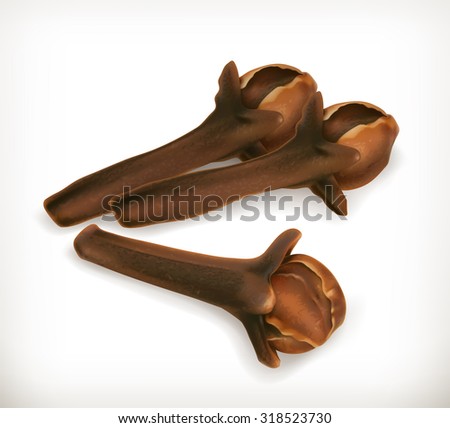 Dried cloves, vector icon Royalty-Free Stock Photo #318523730