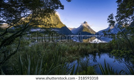 The iconic Mitre Peak in Milford Sound, Fiordland National Park, South Island, New Zealand during clear blue sky sunrise.