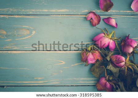 Wilted Flower on Vintage Background