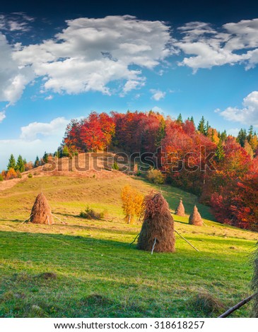 Colorful autumn landscape in the Carpathian mountains. Sokilsky ridge, Ukraine, Europe.