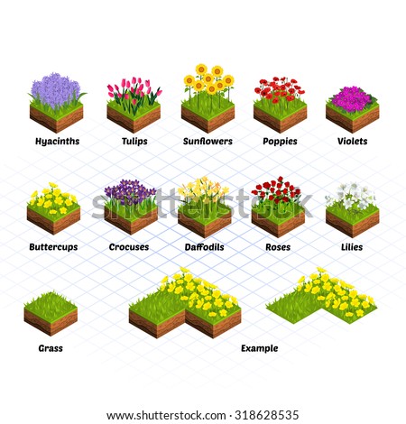 Set of Isometric Tiles Flowers Include Hyacinths, Tulips, Sunflowers, Poppies, Violets, Buttercups, Crocuses, Daffodils, Roses, Lilies, and Grass