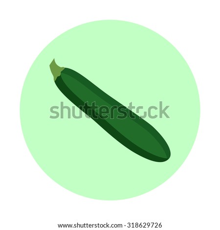 Zucchini vector illustration. Flat design