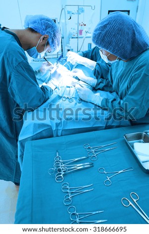 group of veterinarian surgery in operation room take with art lighting and blue filter 
