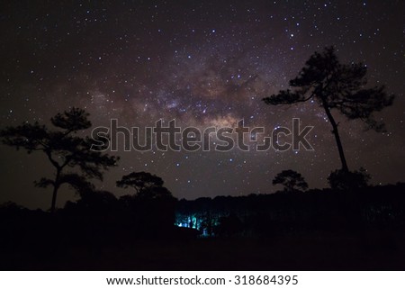 Silhouette of Tree and Milky Way at Phu Hin Rong Kla National Park,Phitsanulok Thailand, Long exposure photograph,with grain 