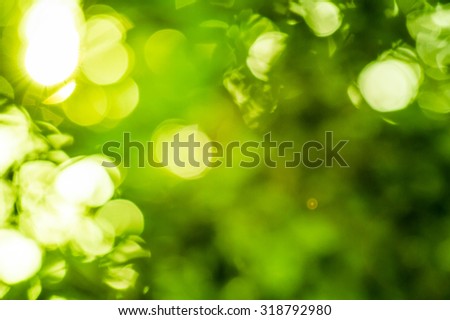 Bokeh light from the sun through the leaves. Royalty-Free Stock Photo #318792980