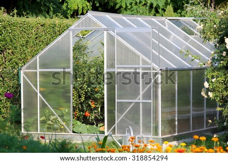 Greenhouse with tomato plants in the garden Royalty-Free Stock Photo #318854294
