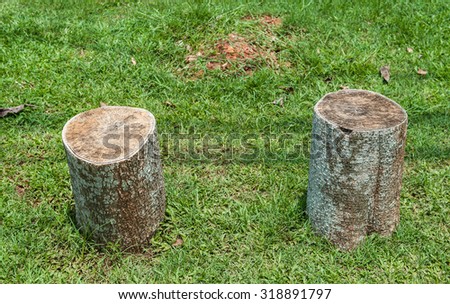 Stumps and wood for background. 