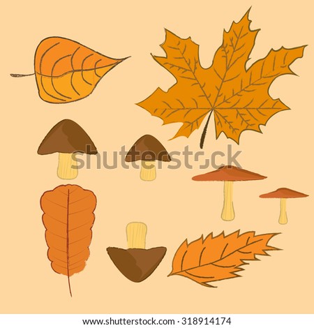 Autumn set.Vector illustration.