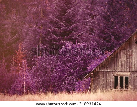 Old house in Ukraine Carpathian mountains. Photo with violet filter