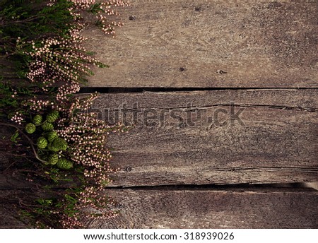       Wooden background with herbarium, free space for text 