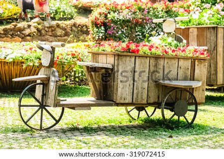 garden and flowers and nature