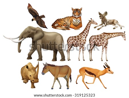 Various kind of wild animals illustration