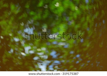 abstract photo of light burst among trees and glitter bokeh lights. filtered image and texture
