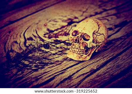 Halloween decoration with skull on wooden background