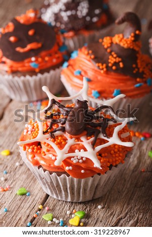 Delicious Halloween cupcakes decorated with chocolate spider on the table close-up. vertical
