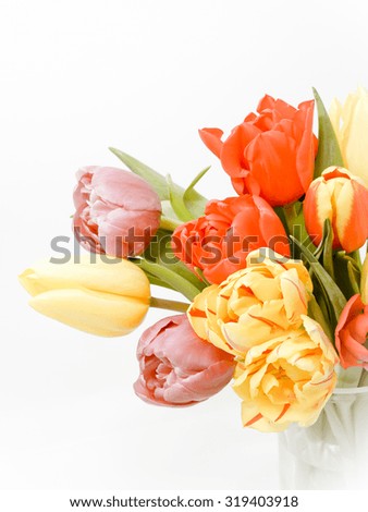 Tulip flowers vintage
