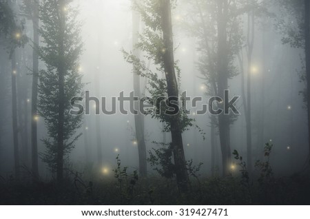 sparkles in fairytale forest Royalty-Free Stock Photo #319427471