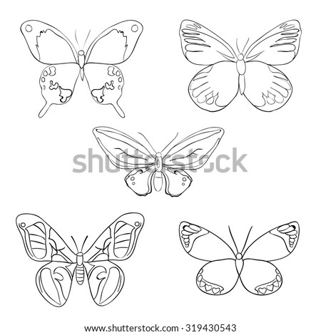 Set of sketches doodle butterflies. Vector illustration